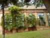 Villa in vendita con giardino a Porto Sant'Elpidio - 06, Foto 6