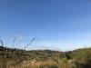 Terreno Agricolo in vendita a San Benedetto del Tronto in zona collinare ragnola - 04, Foto 4
