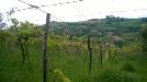 Terreno Agricolo in vendita a San Benedetto del Tronto in zona collinare ragnola - 05, Foto 6
