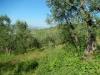 Rustico in vendita da ristrutturare a Controguerra - 03, Foto 3