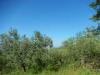 Rustico in vendita da ristrutturare a Controguerra - 05, Foto 5