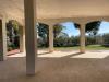 Villa in vendita con giardino a Monteprandone in contrada san donato - 03, Foto 3