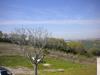 Rustico in vendita con giardino a Fermo - 06, Foto 6