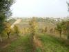 Terreno Edificabile in vendita a Monteprandone - 02, Foto 2