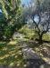 Casa indipendente in vendita con giardino a Follo in via san lorenzo 20 - tivegna - 03, 1.jpeg