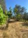 Casa indipendente in vendita con terrazzo a Follo - 04, WhatsApp Image 2025-07-03 at 10.35.18.jpeg