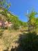 Casa indipendente in vendita con terrazzo a Follo - 05, WhatsApp Image 2025-07-03 at 10.35.53.jpeg