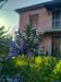 Casa indipendente in vendita da ristrutturare a Sarzana in via ghiarettolo 138 - 05, WhatsApp Image 2026-05-06 at 10.31.11 (1).jpg