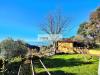 Casa indipendente in vendita con giardino a Pietrasanta - 03, Foto 3