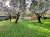 Villa in vendita con giardino a Seravezza - 04, Foto 4