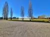 Villa in vendita con giardino a Pietrasanta in via traversagna 16 - 06, Foto 6