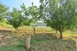Villa in vendita con giardino a Pietrasanta in via strettoia - 08, Foto 8