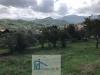Terreno Agricolo in vendita a Cautano in via cupetelle - 05, Foto 5