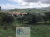 Terreno Agricolo in vendita a Cautano in via cupetelle - 04, Foto 4