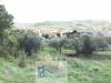 Terreno Agricolo in vendita a Cautano in via cupetelle - 08, Foto 8