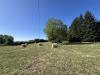 Terreno Agricolo in vendita a Fiuggi - 02, IMG_4326.JPEG