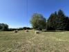 Terreno Agricolo in vendita a Fiuggi - 04, IMG_4328.JPEG