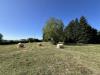Terreno Agricolo in vendita a Fiuggi - 07, IMG_4331.JPEG