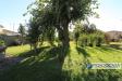 Casa indipendente in vendita con giardino a Pontedera in via delle calende - 08, Foto 8