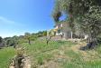 Casa indipendente in vendita con giardino a San Remo in via gabriele d'annunzio - 03, Foto 3