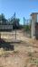 Terreno Agricolo in vendita a Maglie - 04, WhatsApp Image 2023-09-11 at 11.41.24.jpeg