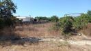 Terreno Agricolo in vendita a Maglie - 06, WhatsApp Image 2023-09-11 at 11.41.26(1).jpeg