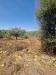 Terreno Agricolo in vendita a Belpasso in strada provinciale s.n - 04, Foto 4