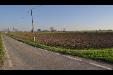Terreno Agricolo in vendita a Parma in strada san rocco - frazioni - delegazioni - 06, DSC_0111.JPG
