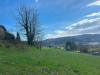 Terreno Agricolo in vendita a Ceva in via sale san giovanni - 05, Foto 5