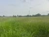 Terreno Agricolo in vendita a Piozzo in strada piozzo - 02, Foto 2