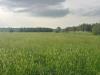 Terreno Agricolo in vendita a Piozzo in strada piozzo - 03, Foto 3