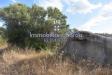 Terreno Agricolo in vendita a Arzachena - 03, Foto 3