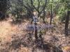 Terreno Agricolo in vendita a Luogosanto - 10, Foto 10