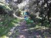 Rustico in vendita da ristrutturare a Arzachena - 03, giardino