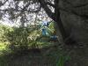 Rustico in vendita da ristrutturare a Arzachena - 09, giardino