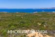 Terreno Agricolo in vendita a Santa Teresa Gallura in strada statale 133 bis - 10, Foto 10