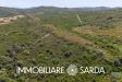 Terreno Agricolo in vendita a Santa Teresa Gallura in strada statale 133 bis - 06, Foto 6