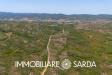 Terreno Agricolo in vendita a Santa Teresa Gallura in strada statale 133 bis - 09, Foto 9