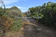Terreno Agricolo in vendita a Arzachena in statale 125 orientale sarda - 09, Foto 9