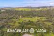Terreno Edificabile in vendita a Santa Teresa Gallura in statale 133bis di palau - 08, Foto 8