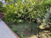 Villa in vendita con giardino a Mendicino in via san paolo 6/35 - 06, Foto 7