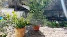Appartamento in vendita con giardino a Rende in via andrea doria 51 - 09, Foto 9