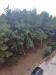 Appartamento in vendita a Siracusa - panagia - 05, WhatsApp Image 2025-03-03 at 17.07.58 (1).jpeg