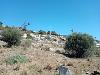Terreno Agricolo in vendita a Siracusa - arenella-plemmirio - 05