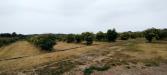 Terreno Agricolo in vendita a Noto in contrada falconara - lido di - 04, IMG_20220428_162546.jpg