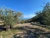 Rustico in vendita a Monte Sant'Angelo - 05, Foto 5