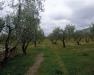 Rustico in vendita a San Giovanni Rotondo - 04, Foto 4