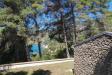 Villa in vendita con giardino a Monte Argentario in localit sassi verdi snc - 04, Foto 4