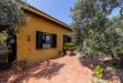 Casa indipendente in affitto con giardino a Monte Argentario in santa liberata snc - 02, Foto 2