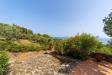 Casa indipendente in affitto con giardino a Monte Argentario in santa liberata snc - 04, Foto 4